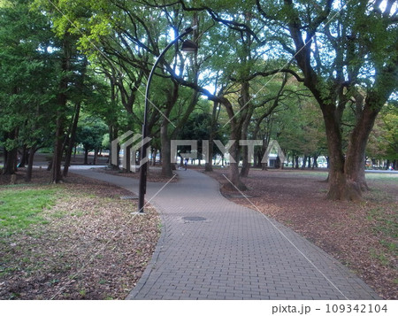 芦花公園 芦花公園 109342104
