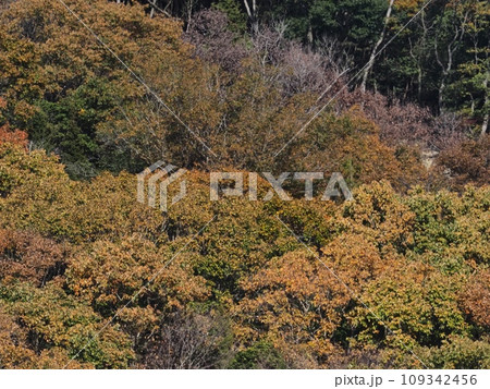 里山の紅葉 紅葉 里山の紅葉 紅葉 109342456