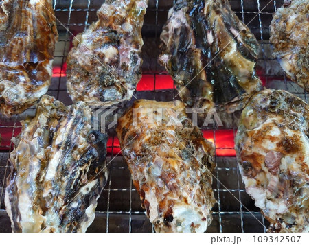 本場広島産牡蠣を牡蠣小屋で食べるイメージ 本場広島産牡蠣を牡蠣小屋で食べるイメージ 109342507