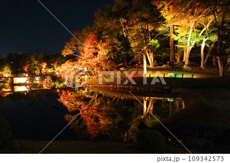 秋の滋賀県彦根市の彦根城の玄宮園(夜間公開) 秋の滋賀県彦根市の彦根城の玄宮園(夜間公開) 109342573