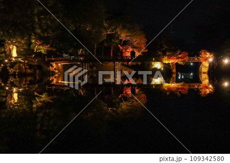 紅葉がきれいな秋の滋賀県彦根市の彦根城の玄宮園(夜間公開) 紅葉がきれいな秋の滋賀県彦根市の彦根城の玄宮園(夜間公開) 109342580