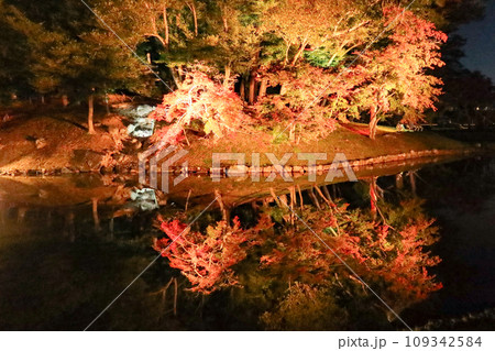紅葉がきれいな秋の滋賀県彦根市の彦根城の玄宮園(夜間公開) 紅葉がきれいな秋の滋賀県彦根市の彦根城の玄宮園(夜間公開) 109342584