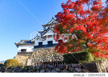 秋の滋賀県彦根市の彦根城の天守閣と紅葉 秋の滋賀県彦根市の彦根城の天守閣と紅葉 109342826