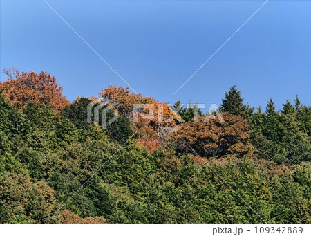里山の紅葉 紅葉 里山の紅葉 紅葉 109342889