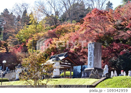 茨城県大子町　永源寺（もみじ寺）の参道と色鮮やかな紅葉 109342959