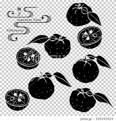 Yuzu silhouette vector illustration 109343024