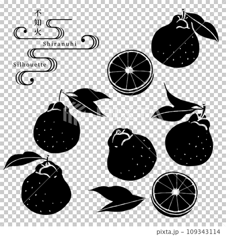 Shiranui (Dekopon) 剪影向量圖 Shiranui (Dekopon) 剪影向量圖 109343114