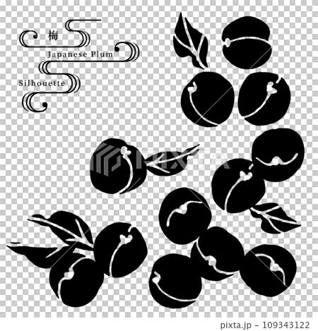 梅の実のシルエットベクターイラスト 梅の実のシルエットベクターイラスト 109343122