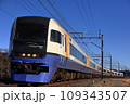 総武本線 255系特急しおさい 109343507