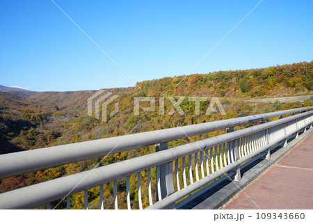 日本 山梨県 八ヶ岳 紅葉 日本 山梨県 八ヶ岳 紅葉 109343660