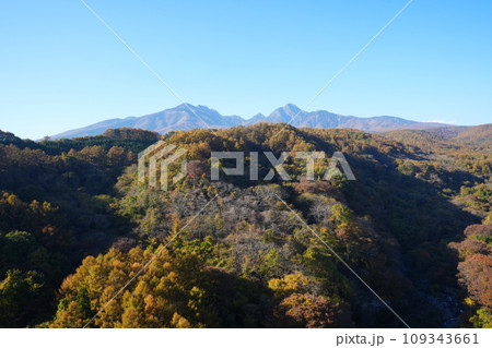日本 山梨県 八ヶ岳 紅葉 109343661