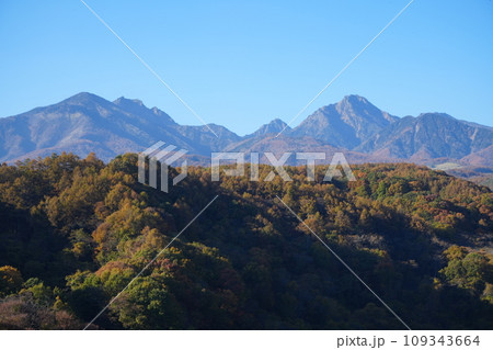 日本 山梨県 八ヶ岳 紅葉 109343664