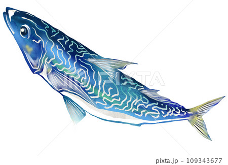 大衆魚サバのイラスト 109343677