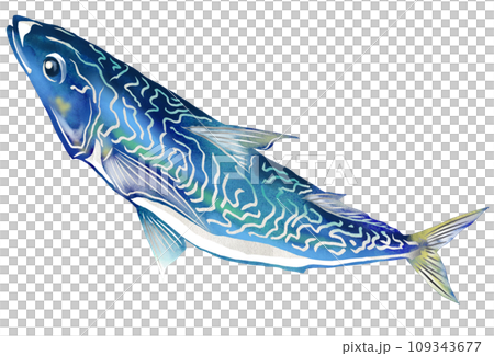 大衆魚サバのイラスト 109343677