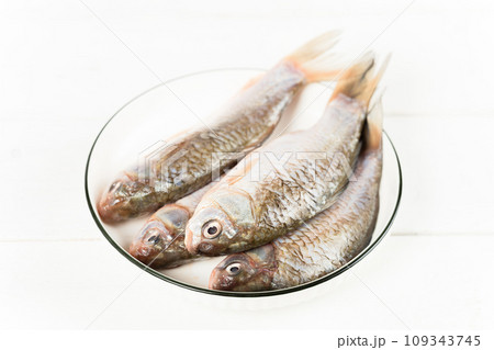 fresh fish on the white background fresh fish on the white background 109343745
