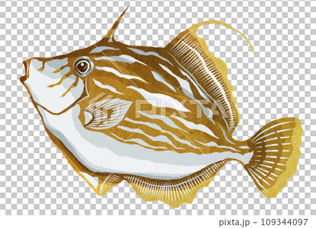 色彩繽紛的文件魚插圖 109344097