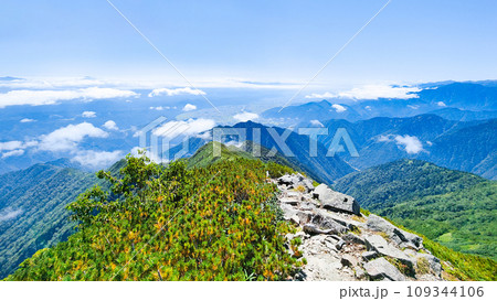 夏の爺ヶ岳登山（爺ヶ岳中峰から大町市街地方面の眺め） 109344106