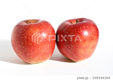 小雪が舞っているような果点のあるりんご、千雪 109344164
