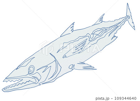 シンプル魚の線画イラスト 109344640