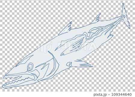 シンプル魚の線画イラスト 109344640