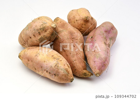 さつまいも（マロンゴールド） 109344702