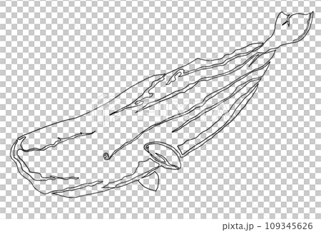 One stroke illustration of a sperm whale 109345626