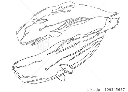 親子クジラの一筆書きイラスト 親子クジラの一筆書きイラスト 109345627