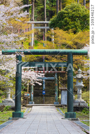 古都鎌倉の春 建長寺の桜 半僧坊参道 古都鎌倉の春 建長寺の桜 半僧坊参道 109346217