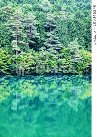 夏の南伊奈ヶ湖 夏の南伊奈ヶ湖 109346240