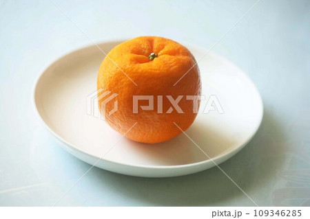 冬から早春の果物　ポンカン 109346285