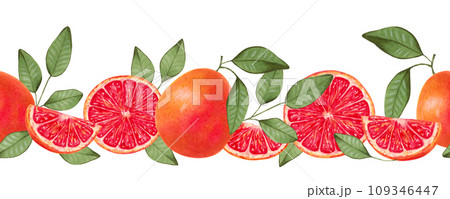 Seamless horizontal grapefruit border. Whole and slices with natural product leaves. Watercolor and marker illustration. Citrus healthy food for vegans. Border line. Vitamin C. Hand drawn isolated. 109346447