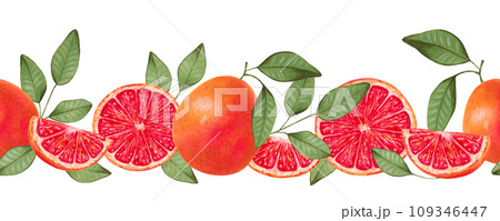 Seamless horizontal grapefruit border. Whole and slices with natural product leaves. Watercolor and marker illustration. Citrus healthy food for vegans. Border line. Vitamin C. Hand drawn isolated. Seamless horizontal grapefruit border. Whole and slices with natural product leaves. Watercolor and marker illustration. Citrus healthy food for vegans. Border line. Vitamin C. Hand drawn isolated. 109346447