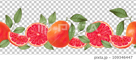 Seamless horizontal grapefruit border. Whole and slices with natural product leaves. Watercolor and marker illustration. Citrus healthy food for vegans. Border line. Vitamin C. Hand drawn isolated. 109346447
