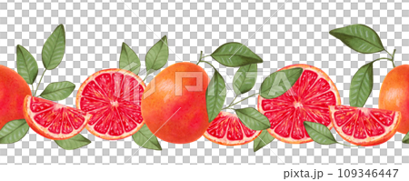 Seamless horizontal grapefruit border. Whole and slices with natural product leaves. Watercolor and marker illustration. Citrus healthy food for vegans. Border line. Vitamin C. Hand drawn isolated. Seamless horizontal grapefruit border. Whole and slices with natural product leaves. Watercolor and marker illustration. Citrus healthy food for vegans. Border line. Vitamin C. Hand drawn isolated. 109346447