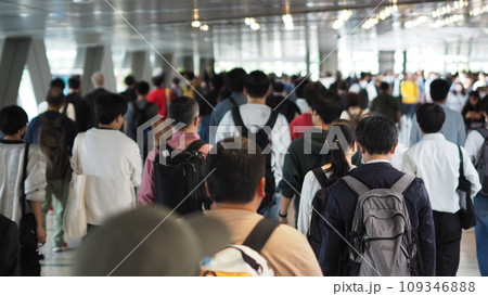 お台場のイベントに向かう人の群れ 109346888