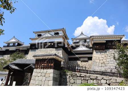 日本三大連立式平山城 松山城 日本三大連立式平山城 松山城 109347423