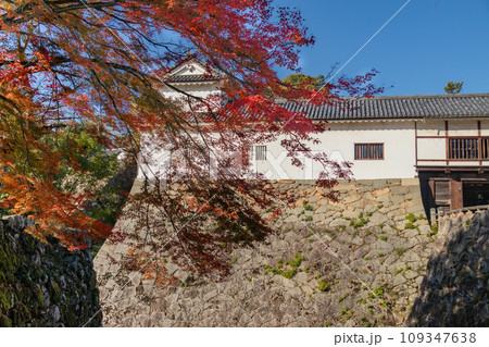 秋の滋賀県彦根市の彦根城の櫓と紅葉 秋の滋賀県彦根市の彦根城の櫓と紅葉 109347638