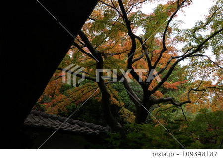 紅葉のある風景 紅葉のある風景 109348187