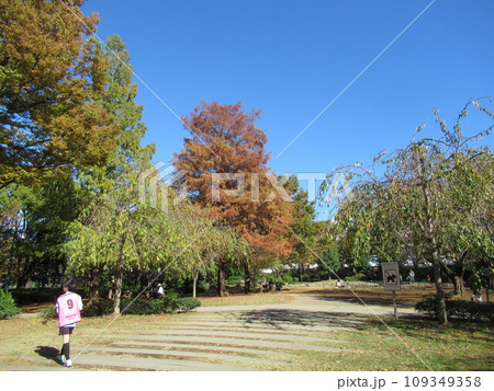 浜町公園 浜町公園 109349358