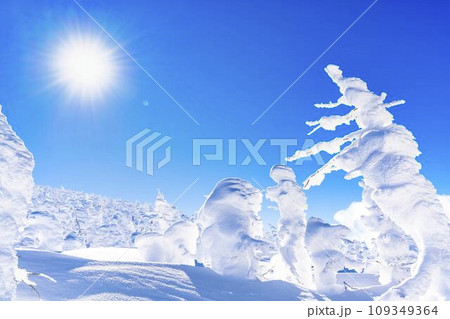 青空と山形蔵王の樹氷　スノーモンスター　山形県山形市 109349364