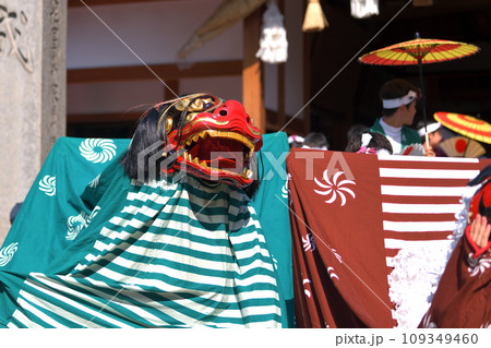播州姫路の秋祭り　英賀神社の獅子舞 109349460