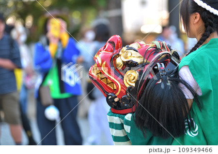 播州姫路の秋祭り　英賀神社の獅子舞 109349466