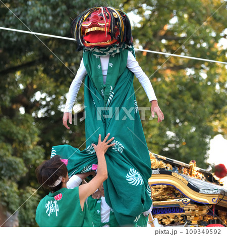 播州姫路の秋祭り 英賀神社の獅子舞 継ぎ獅子 播州姫路の秋祭り 英賀神社の獅子舞 継ぎ獅子 109349592