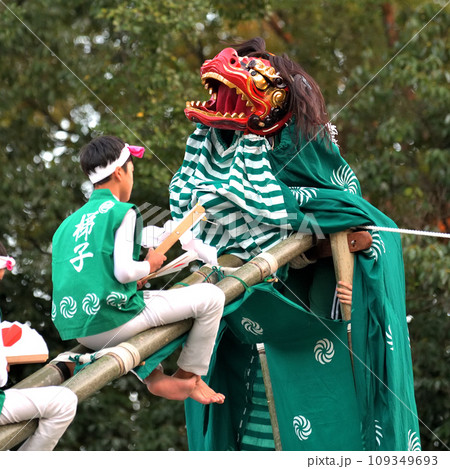 播州姫路の秋祭り　英賀神社の獅子舞　梯子獅子 109349693