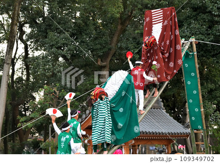 播州姫路の秋祭り 英賀神社の獅子舞 梯子獅子 播州姫路の秋祭り 英賀神社の獅子舞 梯子獅子 109349702