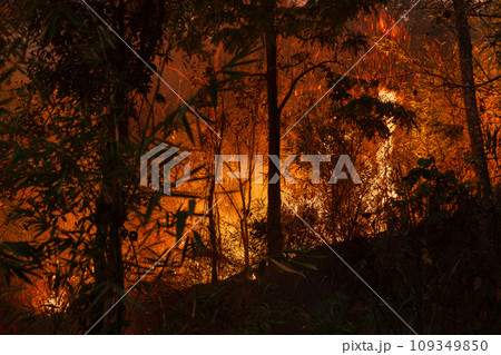 El Nino weather phenomenon cause drought and increase wildfire in southeast asia. 109349850