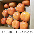 2023年ふるさと納税で届い訳あり柿 109349859