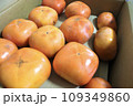 2023年ふるさと納税で届い訳あり柿 109349860