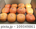 2023年ふるさと納税で届い訳あり柿 109349861