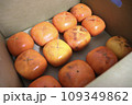 2023年ふるさと納税で届い訳あり柿 109349862